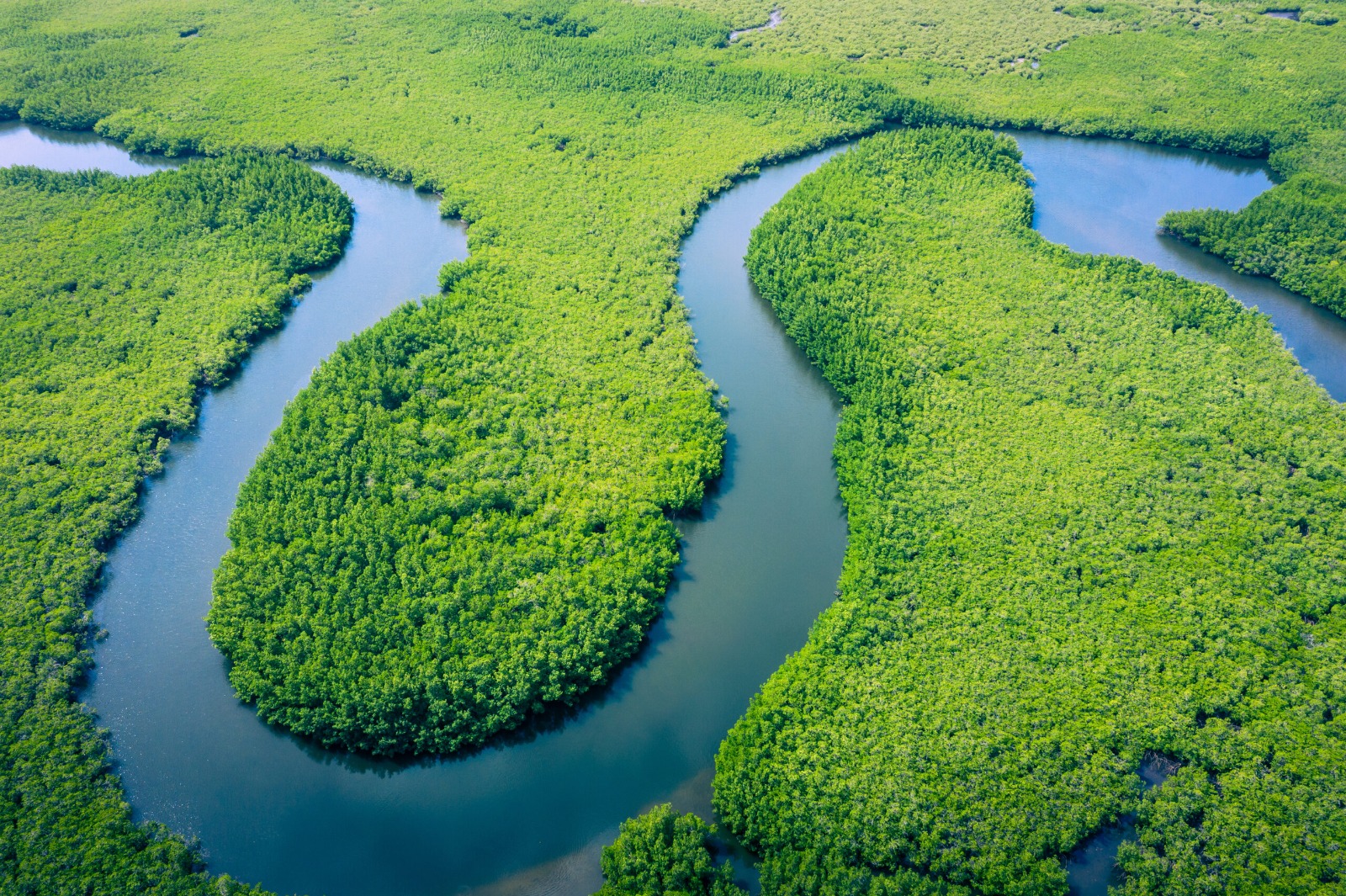 African landscape aerial view